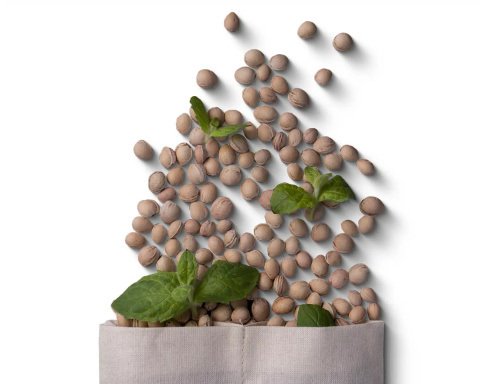Wkład do Cherrypad® – Pestki wiśni mięta, eukaliptus Wkład do Cherrypad® – Pestki wiśni mięta, eukaliptus