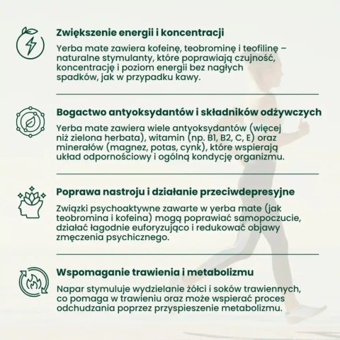 YERBA MATE – ZIOŁOWY BALANS