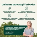 YERBA MATE – ZIOŁOWY BALANS