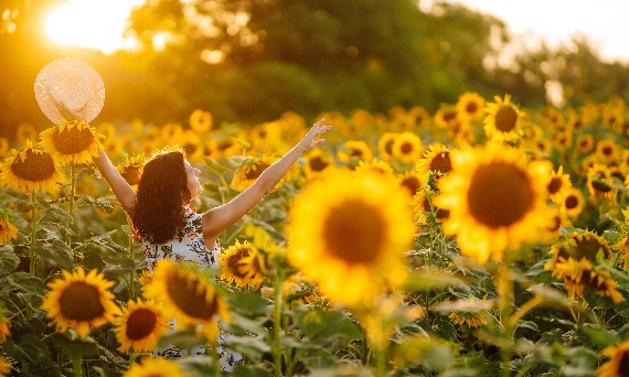 Witamina słońca – dlaczego warto zadbać o odpowiedni poziom witaminy D3, gdy brakuje słońca?